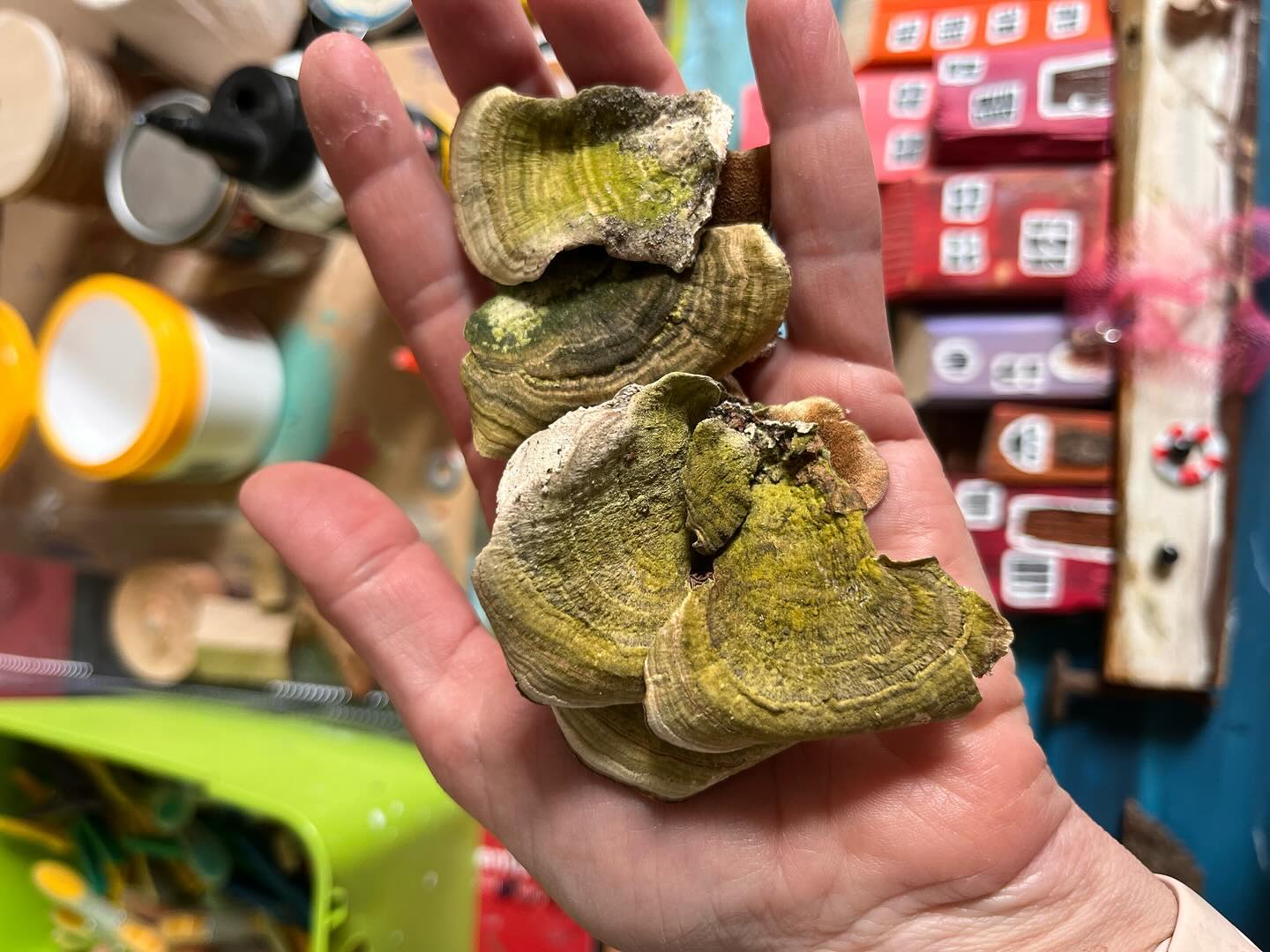 Słońce odpływa, domy czekają