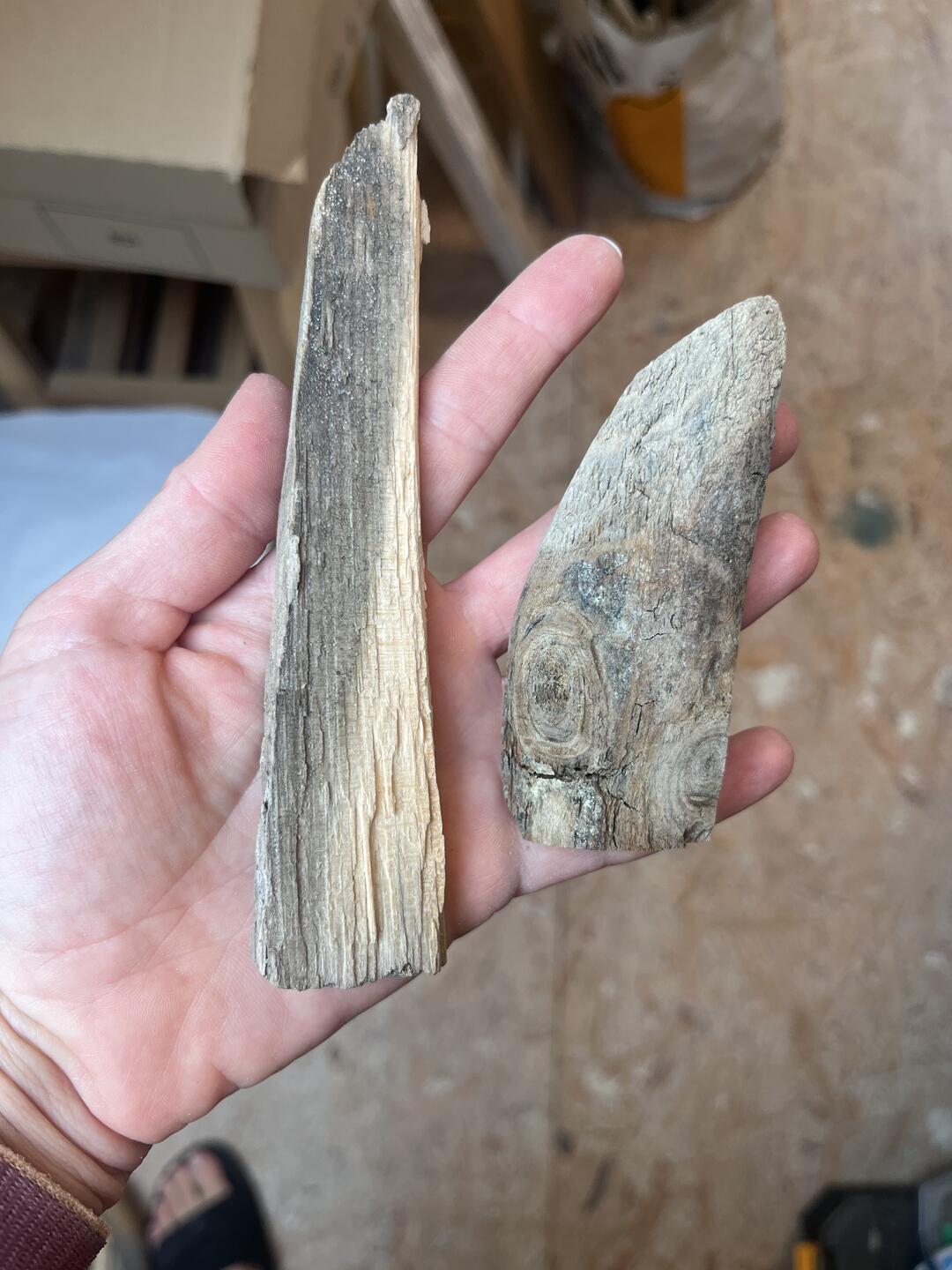 Ostatnie promienie dnia